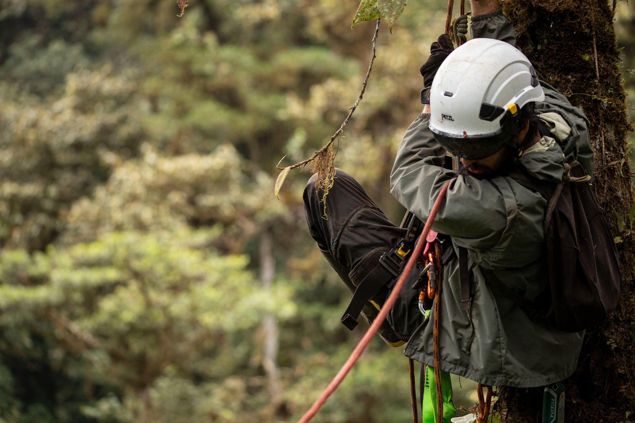 Moretta-Urdiales et al. 2025